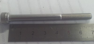 Image of a stainless steel socket head cap screw.